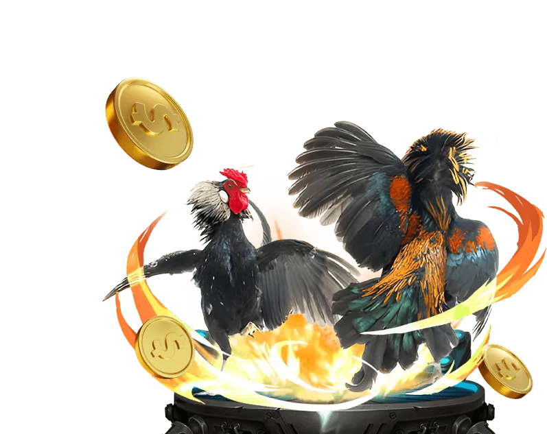 Hình ảnh đá gà trực tiếp U888